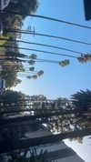 sydney_melman Altpins Profile Picture