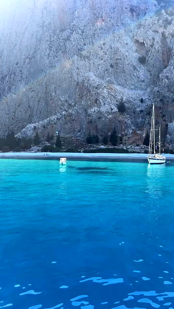 dana_michaeli_ archive video preview