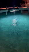 liya_manor_ Altpins Profile Picture