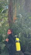_lil_noa_ Altpins Profile Picture