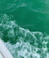 liiuuar Altpins Profile Picture