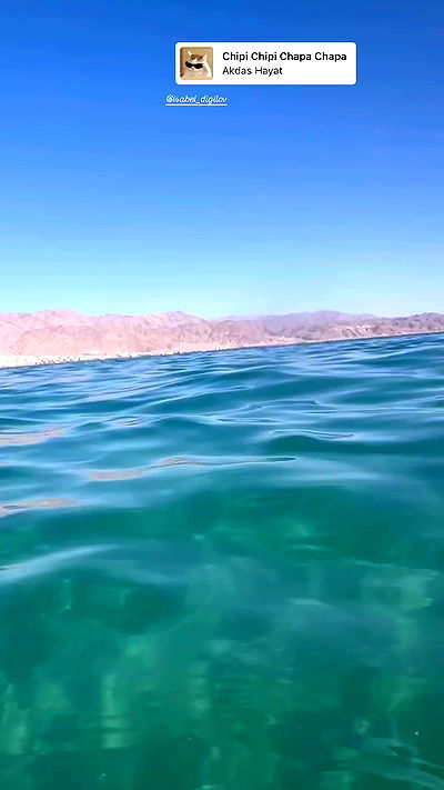 mishel116 mishel116 archive video