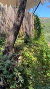 noa_mendel_ Altpins Profile Picture