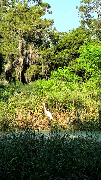 rachelc00k rachelc00k archive video