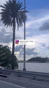 babebellalynnx Altpins Profile Picture