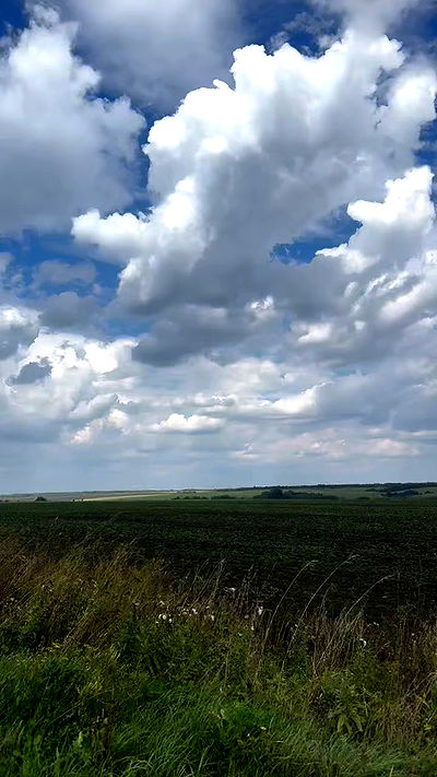 nyityam nyityam archive video