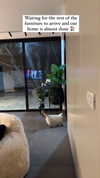 karin_orhov Altpins Profile Picture