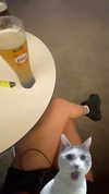 avitallllllll Altpins Profile Picture