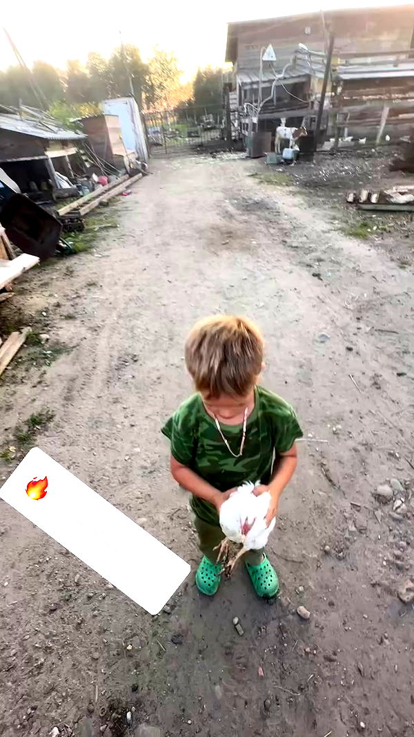 zlata_shipulin archive video preview