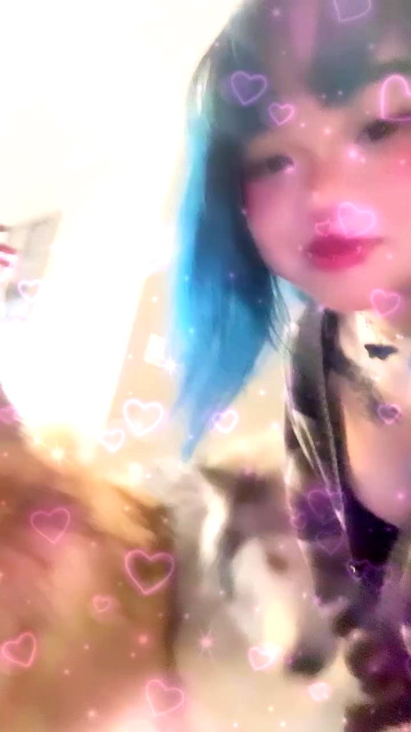 petitekitti archive video preview