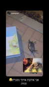 karin_orhov Altpins Profile Picture