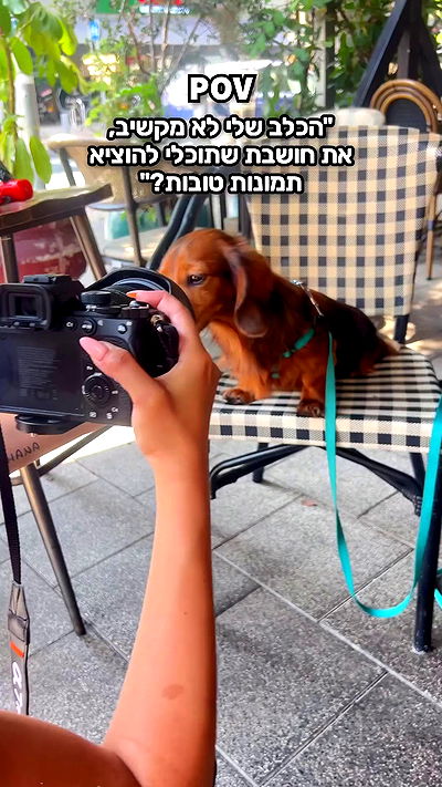 emily.otaku emily.otaku archive video