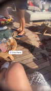 alexandra_stmtk Altpins Profile Picture