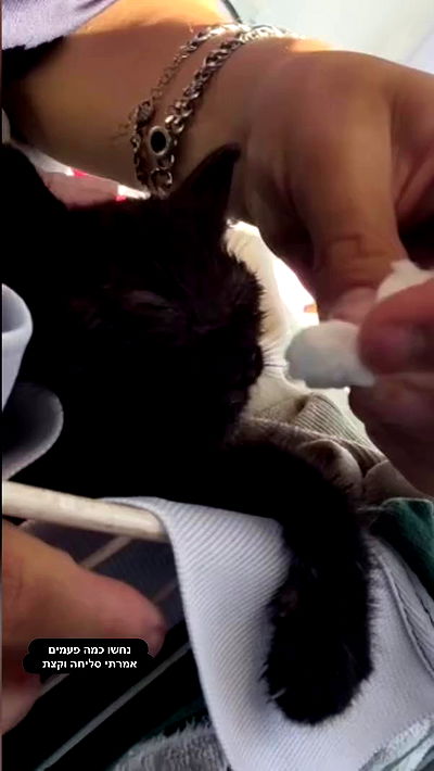 biton__adi biton__adi archive video