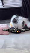 alyri_tv Altpins Profile Picture