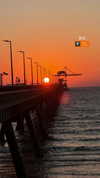 topaz_bn Altpins Profile Picture