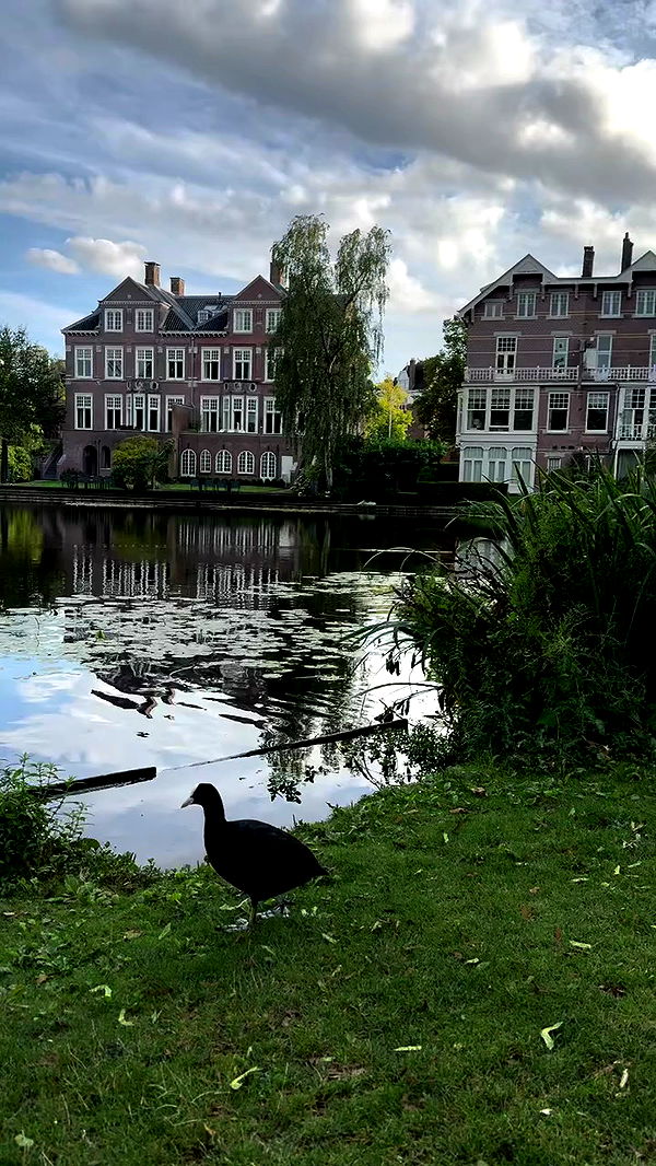 jaroslava_klavir archive video preview