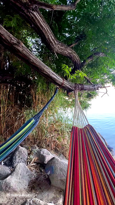 1justsabi 1justsabi archive video