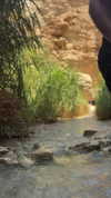 romy_lavi Altpins Profile Picture