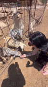 karin_orhov Altpins Profile Picture