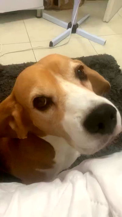 rinsrain rinsrain archive video