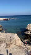 alexandra_stmtk Altpins Profile Picture