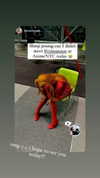 cinnannoe Altpins Profile Picture