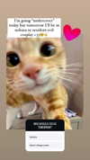 cinnannoe Altpins Profile Picture