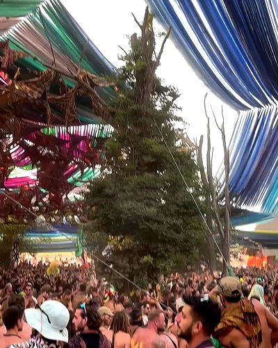 alice.skym alice.skym archive video