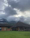 toharsandrusi Altpins Profile Picture