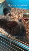 wormfood____ Altpins Profile Picture