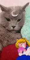 shinomayaa Altpins Profile Picture