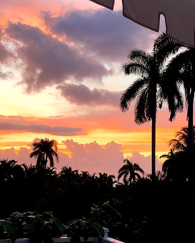 tyla tyla archive video