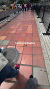 dianavgalvis Altpins Profile Picture
