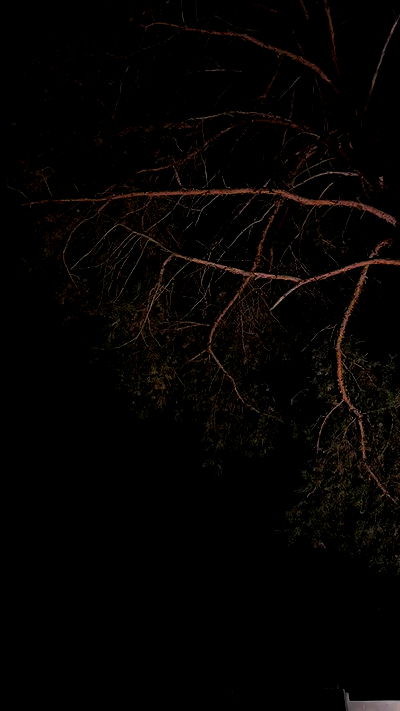 nyityam nyityam archive video