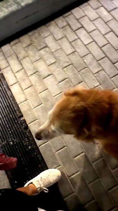 smillsap02 smillsap02 archive video