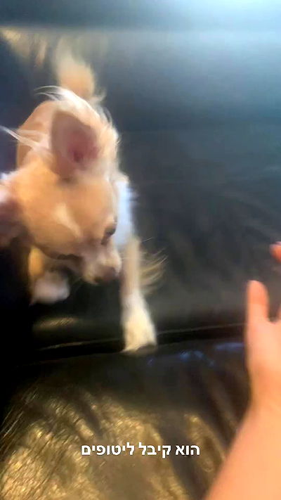 rinsrain rinsrain archive video