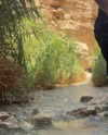 romy_lavi Altpins Profile Picture