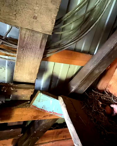 zlata_shipulin zlata_shipulin archive video