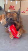 karin_orhov Altpins Profile Picture