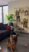 karin_orhov Altpins Profile Picture