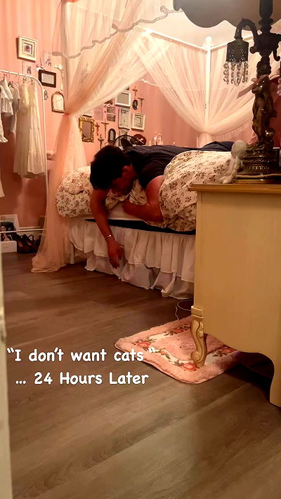 laurinchhhe laurinchhhe archive video