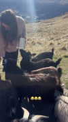 jade.schutte Altpins Profile Picture