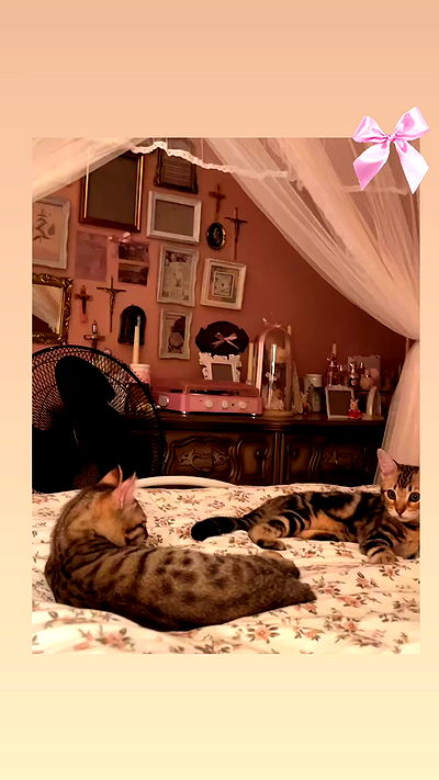 laurinchhhe laurinchhhe archive video