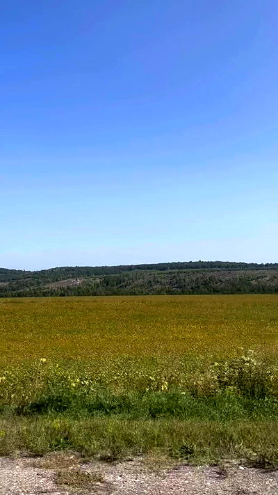 nyityam nyityam archive video