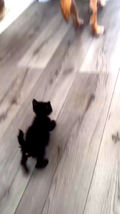 biton__adi biton__adi archive video