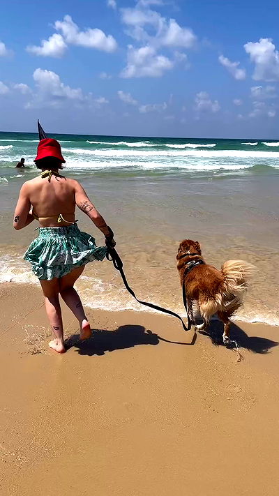 biton__adi biton__adi archive video