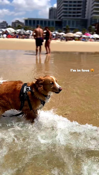 biton__adi biton__adi archive video