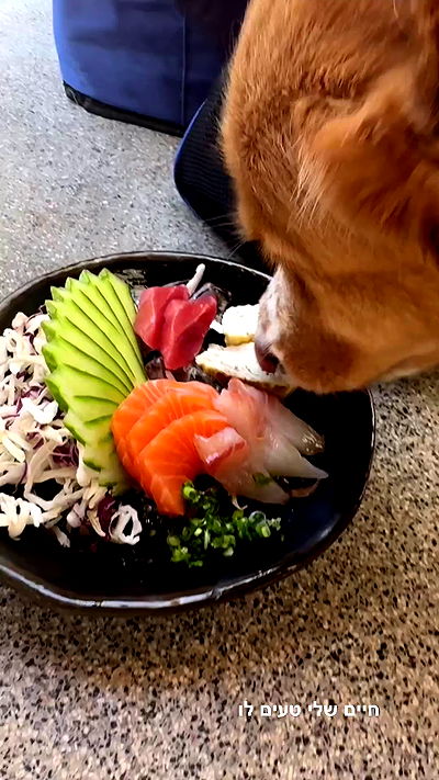 biton__adi biton__adi archive video