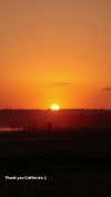 roni_ackerman Altpins Profile Picture